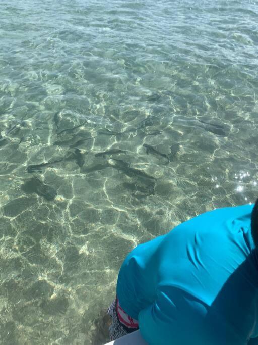 Casa Coracao De Peroba Maragogi Villa Dış mekan fotoğraf